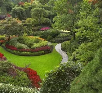 Belleza y CuidadoServicio de Jardinería a Domicilio