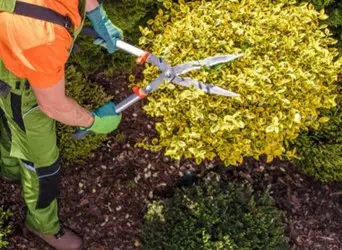 Empresa de Jardinería